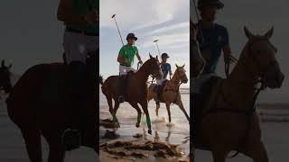 Sunset Sporting | U.S. Polo Assn.