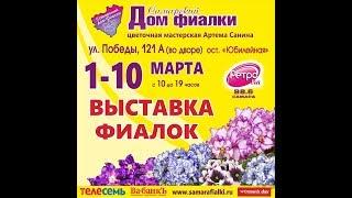 ВЫСТАВКА ФИАЛОК 1-10 марта,Самарский Дом Фиалки