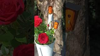 Easy miniature birdhouse miniatur Vogelhaus #diy #cute #kawaii #miniature #birdhouse #vogelhaus