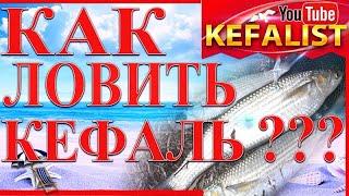 Рыбалка в Скадовске - #как #ловить #кефаль