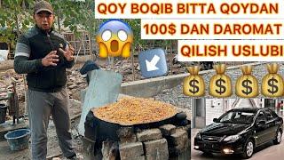 UY SHAROYITIDA QOY BOQIB 2 OYDA 100$DAN DAROMAT QILISH USLUBI