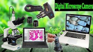 Top 10 Best Digital Microscope Camera Review 2022 | Best Digital Microscope