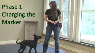 First Thing to Teach a Dog (K9-1.com)