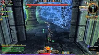 Neverwinter Online, Чернокнижник-мучитель + Бесстрашный воин, 20-20 №19