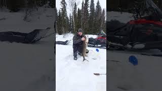 Открываем сезон по#щуке ! 22 февраля!