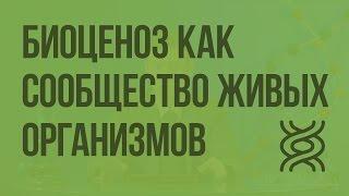 Биоценоз как сообщество живых организмов. Видеоурок по биологии 9 класс