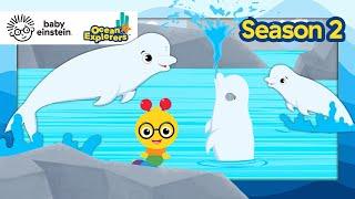 Let's Explore: Sounds With Beluga Whales! | Ocean Explorers Season 2 | Baby Einstein | Educational