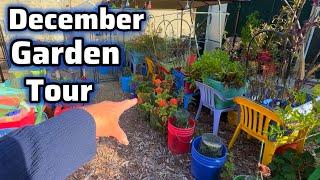 Garden Tour STILL Producing Vegetables Growing in Raised Bed Gardening Storage Container Totes MORE