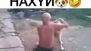 Бобик иди на..уй.Собака изнасиловала человека.