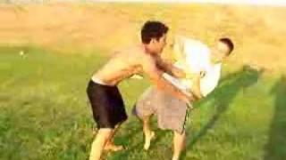 stright arm lock (armbar)