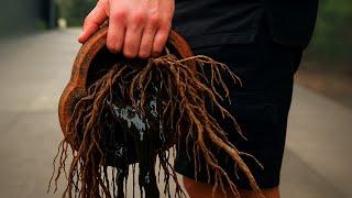 THE THINGS I PULLED OUT OF THIS BLOCKED DRAIN WERE SHOCKING!