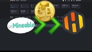 How to mine Doge with unmineable using HiveOs ! Cpu or Gpu