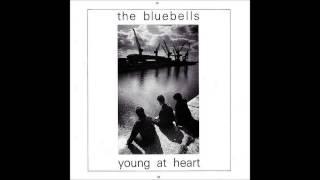 The Bluebells - 1984 - Young At Heart