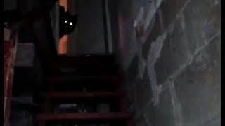 YouTube Horrors: Meatsleep