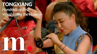 Zhang Qianyuan performs Tongxian's Hundreds of Birds Worshipping the Phoenix