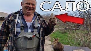 Инкубационное яйцо и сварочный аппарат из Китая 5 в 1