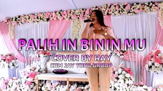 PALIH IN BINI MU COVER BY RAY BADY GROUP