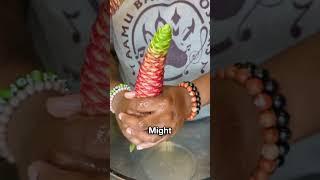 Popular Strange Flower Plant 