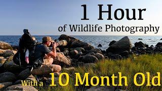 What can I Photograph in 1 Hour with my 10 Month Old? | Nikon Z9 Wildlife Photography