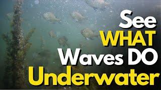 Underwater Footage of HOW Waves Affect Bass Fishing