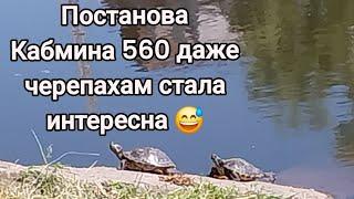 Оказывается- обов'язок не для всех по факту и в чем проблема постановы Кабмина 560 перед Законом️