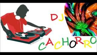 Deejay cachorro-bomba 2012