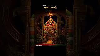 Tirumala  #tirumala #tirupati #govinda #travel #vlog #ytshorts