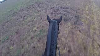 The Readyfield Bloodhounds Hunt Meet & FALL! (GoPro HeadCam)