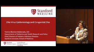 Zika Virus Epidemiology and Congenital Zika