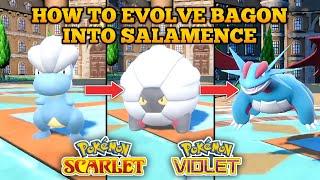 How To Evolve Bagon Into Shelgon And Salamence In Pokemon Scarlet And Violet