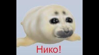 Получил Нико I в Будь глупеньким тюленьчиком роблокс! Be a silly seal roblox!