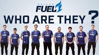 Dallas Fuel - Who Are They?