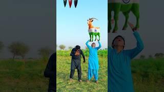 bakra lari bado badi ||#bakramandi #bakraeid2025  #badobadi