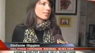 Helping Hounds Dog Rescue on Channel 9