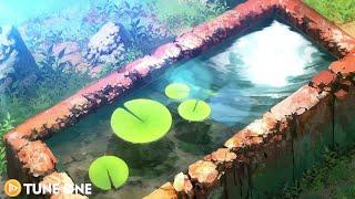 Peaceful Instrumental Music Water Lilies Pond    [ Calming music / Relaxing music]