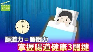 腸道力＝睡眠力，掌握腸道健康三關鍵【早安健康】