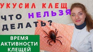 Клещи. Чем опасны клещи? Как вытянуть клеща? Укусил клещ, что делать?