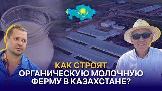 Первая роботизированная органическая молочная ферма в Казахстане — ТОО Енбек