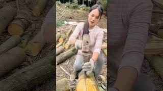 Incredible Strength: Woman Splits Logs with a Mauls