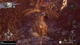 Nioh 2 Stance changing sword combat against spike head