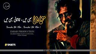 Mein Tamasha Bhi Tamashai Bhi (میں تماشا بھی تماشائی بھی) | Sufi Status #shorts