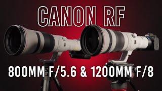 Canon RF 800mm f/5.6 & 1200mm f/8: NEW Super Telephoto Lenses!