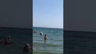 Meanwhile in Russia (Anapa, the Black Sea dolphins) ️