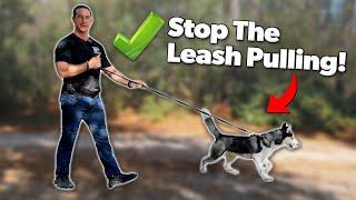 How to Stop Your Dog From Leash Pulling