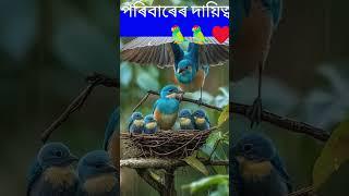 kids for parrot poribarere daietto||