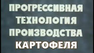 Технология возделывания картофеля