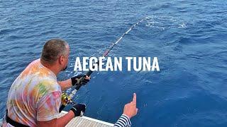 Big tuna | Lucky Igor | Aegean sea |  Toruk