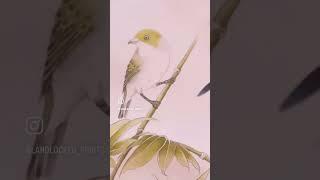 Learning to use color on a meticulous style painting. #birdpainting #botanical #chinesepainting #art