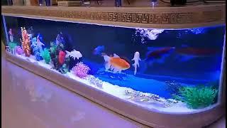 8 Feet 240cm Aquarium Luxury Glass Table Coffee TV Cabinet Fish Tank Rack Rak Furniture PF1-0309