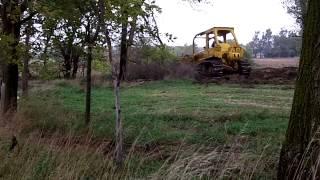 Dozer working to clear trees at Stroda Farms